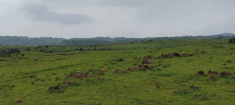 17 Ares Industrial Land for Sale in Talegaon MIDC Road, Pune