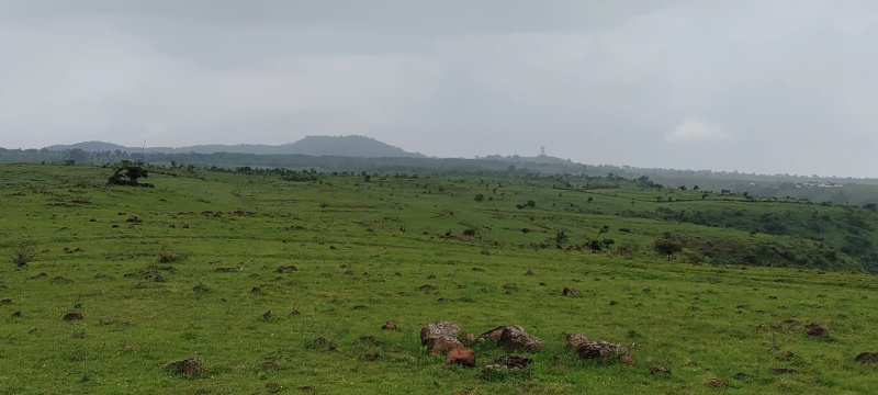 17 Ares Industrial Land for Sale in Talegaon MIDC Road, Pune