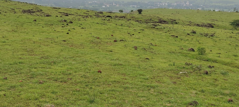  80 Acre Industrial Land for Sale in Rajgurunagar Khed, Pune