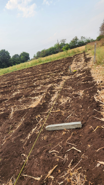  18 Acre Industrial Land for Sale in Shikrapur, Pune