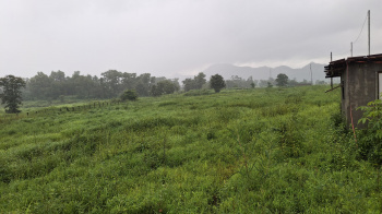  Agricultural Land for Sale in Karjat, Raigad