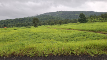  Agricultural Land for Sale in Karjat, Raigad