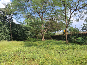  Residential Plot for Sale in Morba, Raigad