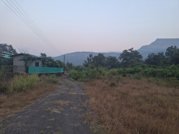 Agricultural Land for Sale in Karjat, Raigad