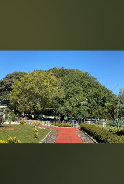  Residential Plot 2400 Sq.ft. for Sale in Ring Road, Hosur