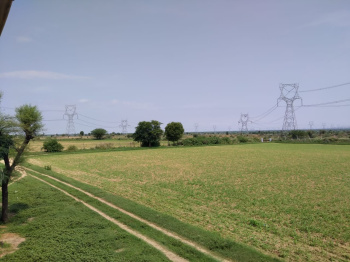  Residential Plot for Sale in Phagi, Jaipur
