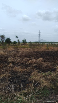  Agricultural Land for Sale in Narasaraopet, Guntur