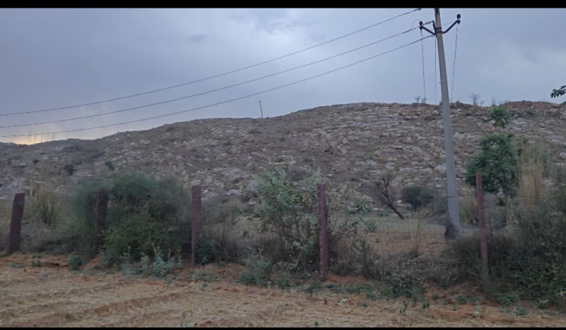  Agricultural Land 5 Bigha for Sale in Sapotra, Karauli