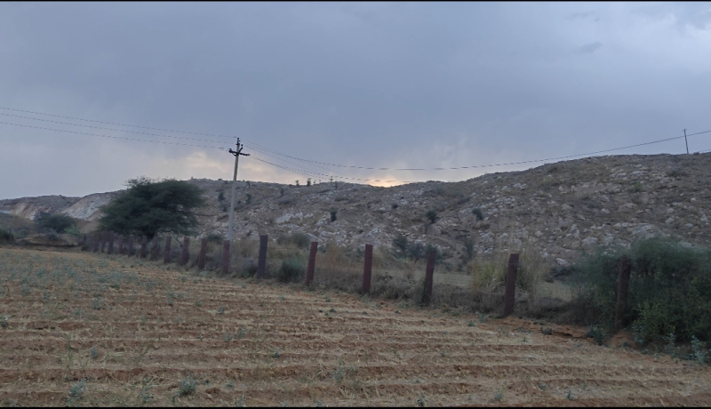 Agricultural Land 5 Bigha for Sale in Sapotra, Karauli