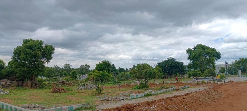  Residential Plot 2400 Sq.ft. for Sale in Denkanikottai Road, Hosur