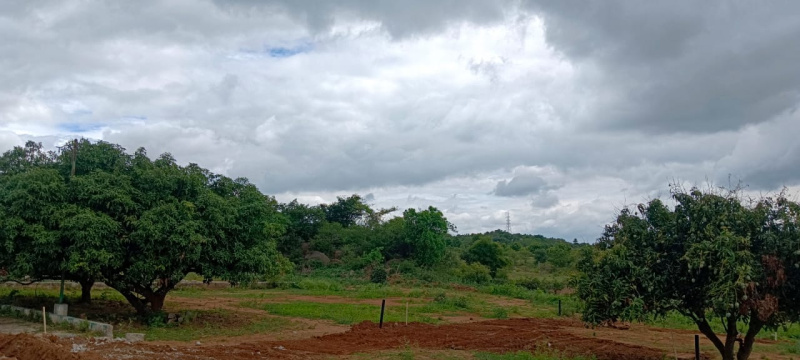  Residential Plot 2400 Sq.ft. for Sale in Denkanikottai Road, Hosur