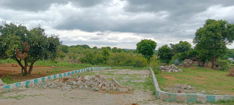 Residential Plot 2400 Sq.ft. for Sale in Denkanikottai Road, Hosur