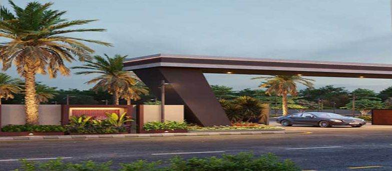  Residential Plot 151 Sq. Yards for Sale in Dholera, Ahmedabad