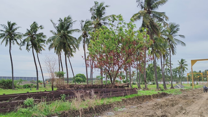  Residential Plot 1000 Sq.ft. for Sale in Red Hills, Chennai