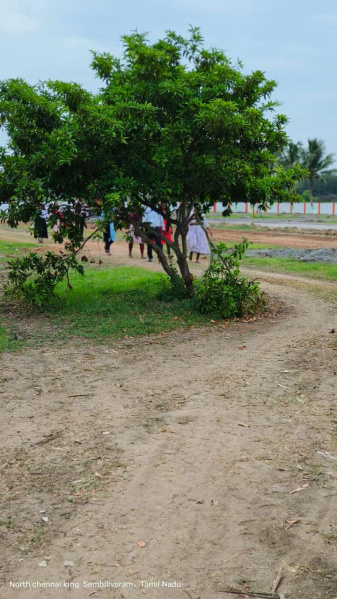  Residential Plot 1000 Sq.ft. for Sale in Red Hills, Chennai