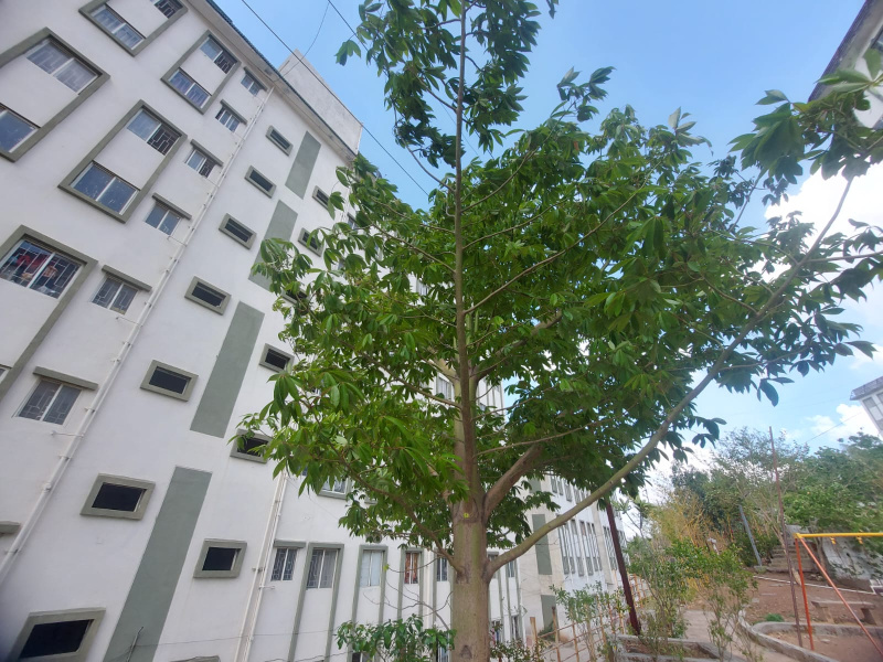 1 BHK Apartment 282 Sq.ft. for Sale in Pirangut, Pune
