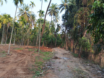 Residential Plot for Sale in Murud, Raigad