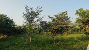  Industrial Land for Sale in Aravakurichi, Karur