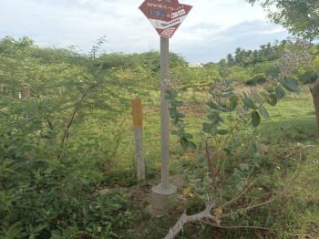 Residential Plot for Sale in Vasan City, Tiruchirappalli