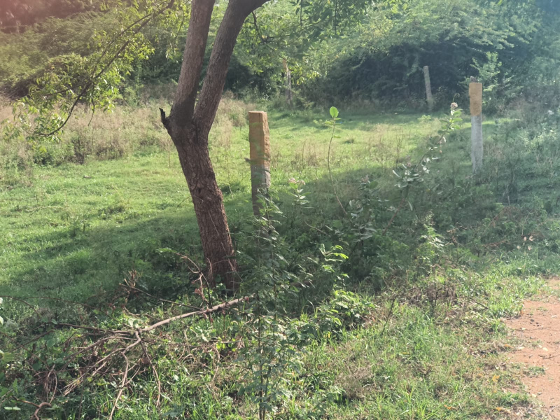  1500 Sq.ft. Residential Plot for Sale in Vasan City, Tiruchirappalli