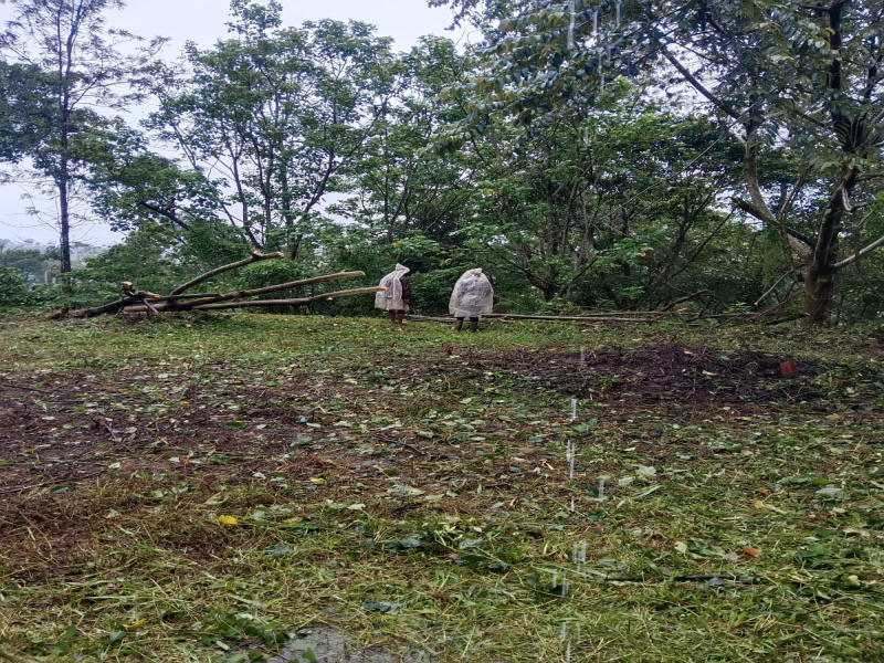  Residential Plot 43560 Sq.ft. for Sale in Sakleshpur, Hassan
