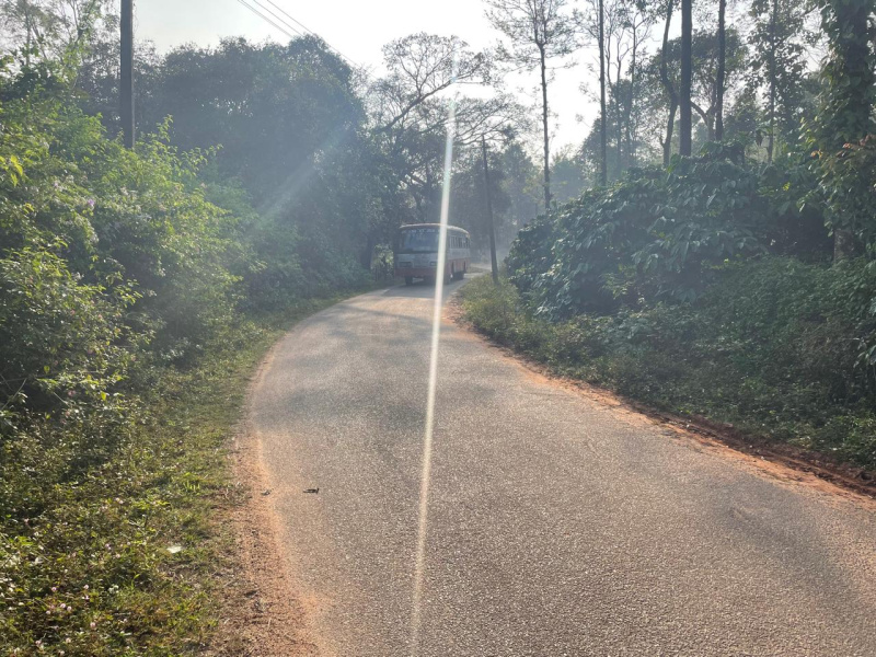  Residential Plot 43560 Sq.ft. for Sale in Sakleshpur, Hassan