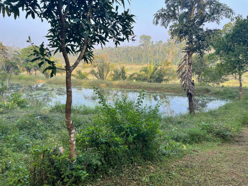  Residential Plot 43560 Sq.ft. for Sale in Sakleshpur, Hassan
