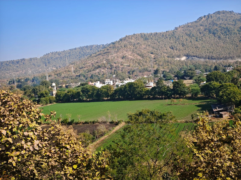  Agricultural Land 5 Acre for Sale in Simrol, Indore