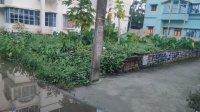  Residential Plot for Sale in Chakdaha, Nadia