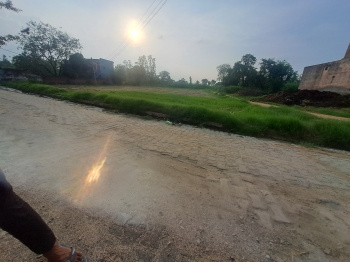  Agricultural Land for Sale in Garhmukteshwar, Hapur