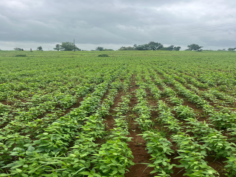  Agricultural Land 45 Sq.ft. for Sale in Maheshwar, Khargone