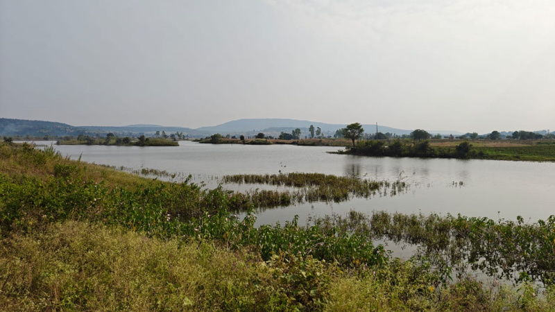 10 Sq.ft. Agricultural/Farm Land for Sale in Maheshwar, Khargone