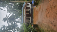 3 BHK Farm House for Sale in Balussery, Kozhikode