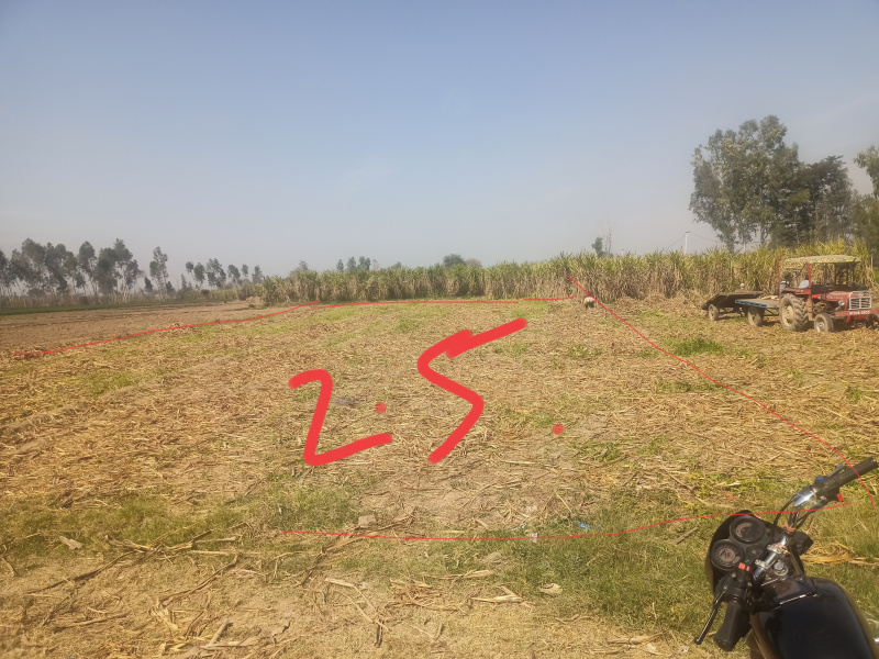  Agricultural Land 3 Bigha for Sale in Sarai, Haridwar