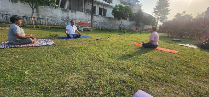  80 Sq. Yards Residential Plot for Sale in Taraori, Karnal