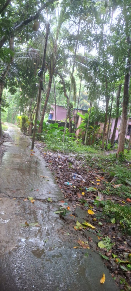 Residential Plot 14157 Sq.ft. for Sale in Kalyani, Nadia