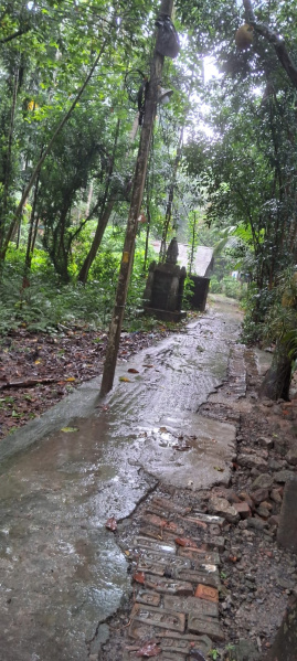  Residential Plot 14157 Sq.ft. for Sale in Kalyani, Nadia