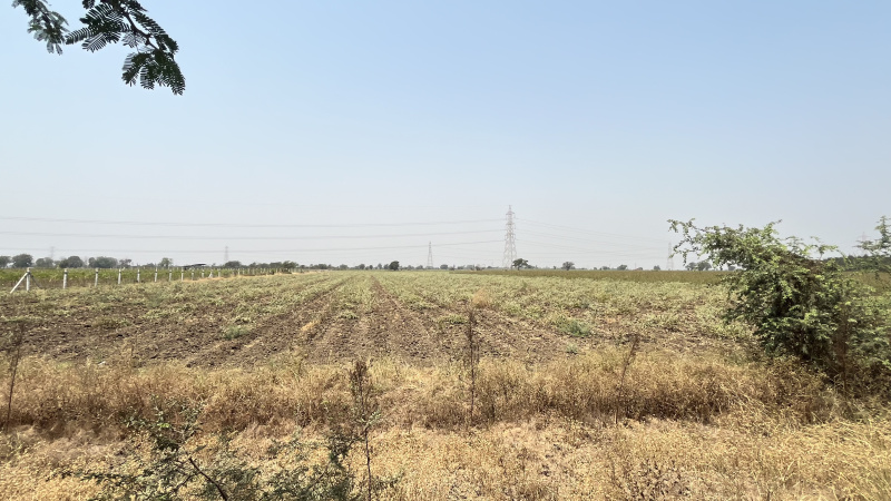  Agricultural Land 6 Acre for Sale in Jhagadia Gidc, Bharuch