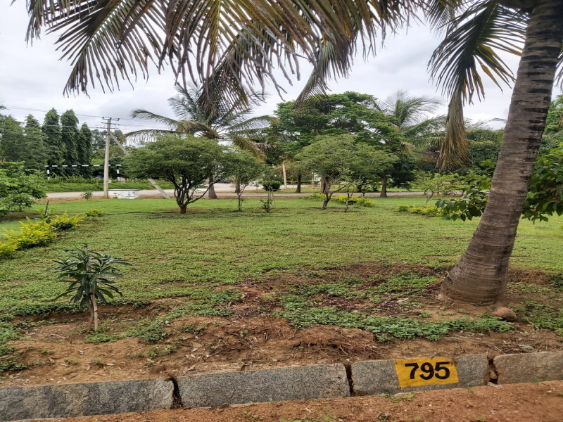  Residential Plot 1451 Sq.ft. for Sale in Doddaballapur Road, Bangalore