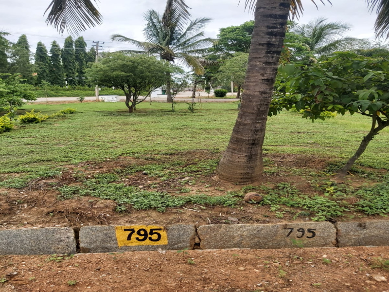  Residential Plot 1451 Sq.ft. for Sale in Doddaballapur Road, Bangalore