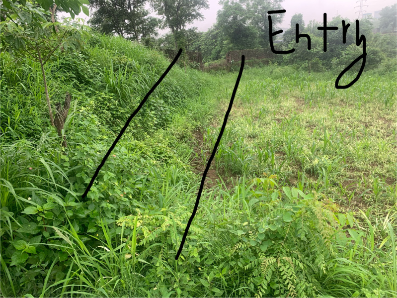  Residential Plot 10 Biswa for Sale in Baddi, Solan
