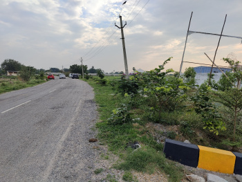  Residential Plot for Sale in Rudraram, Hyderabad