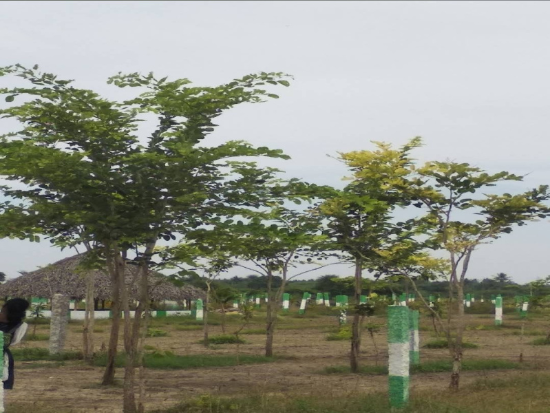  Agricultural Land 9600 Sq.ft. for Sale in Uthiramerur, Kanchipuram
