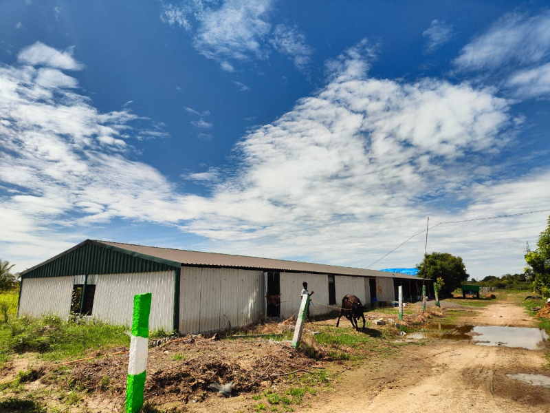  Agricultural Land 9600 Sq.ft. for Sale in Uthiramerur, Kanchipuram