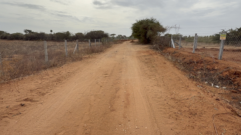  Agricultural Land 2 Acre for Sale in Dharapuram, Tirupur