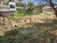  Commercial Land for Sale in Chikna, Nagpur