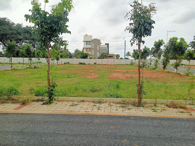  Residential Plot 1200 Sq.ft. for Sale in Devanahalli, Bangalore