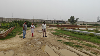  Residential Plot for Sale in Sultanpur Road, Lucknow