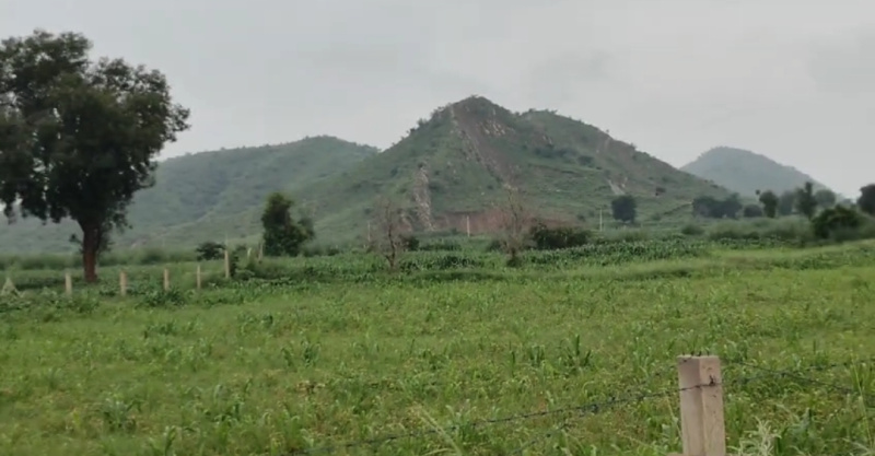1.5 BHK Farm House 20 Bigha for Sale in Naugaon, Alwar