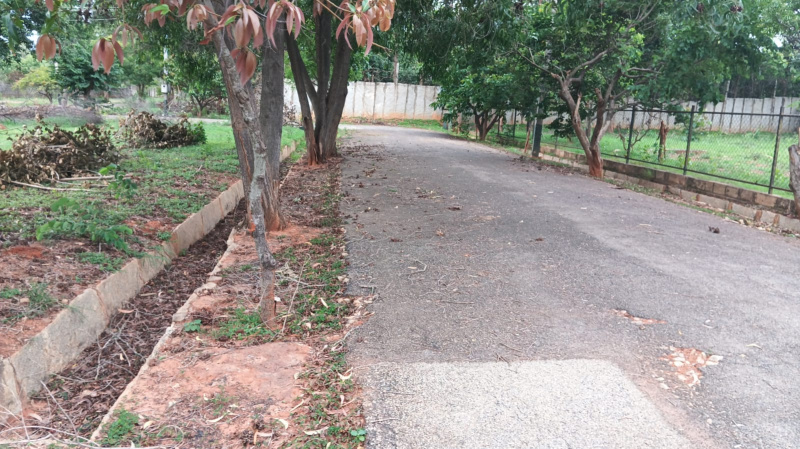  Residential Plot 2650 Sq.ft. for Sale in Byrathi Village, Bangalore